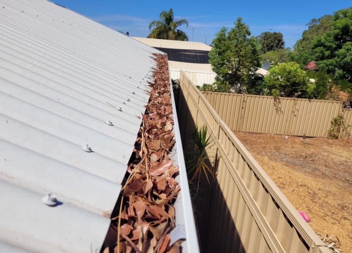 Dry brown leaves clogging a corrugated metal roof gutter next to a tan fence.